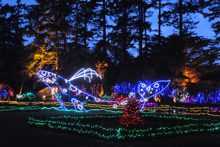 shore acres state park christmas lights, whale