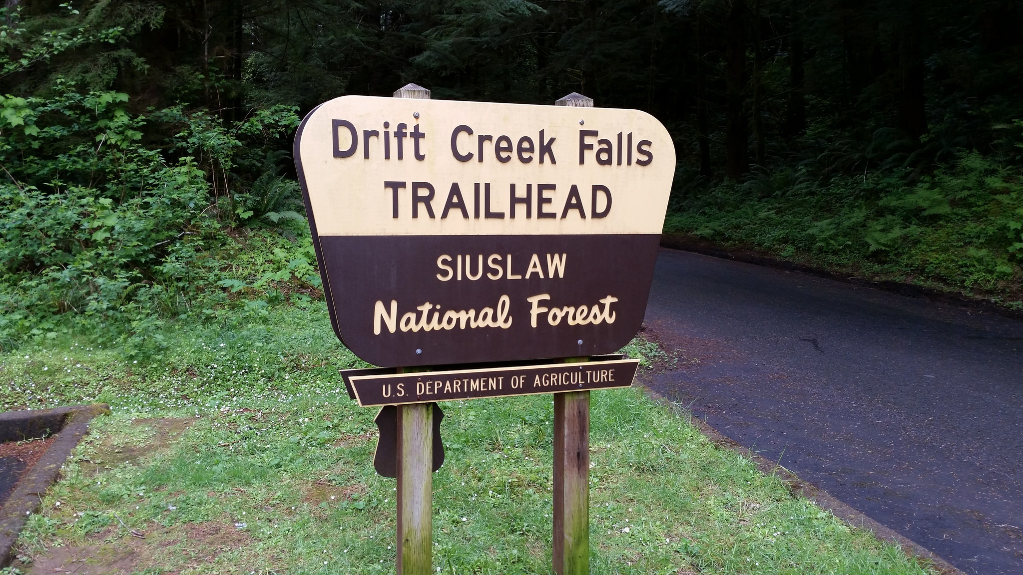 Drift Creek Falls trail