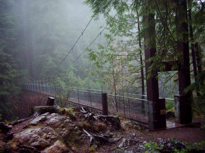 Suspension bridge Drift Creek Falls