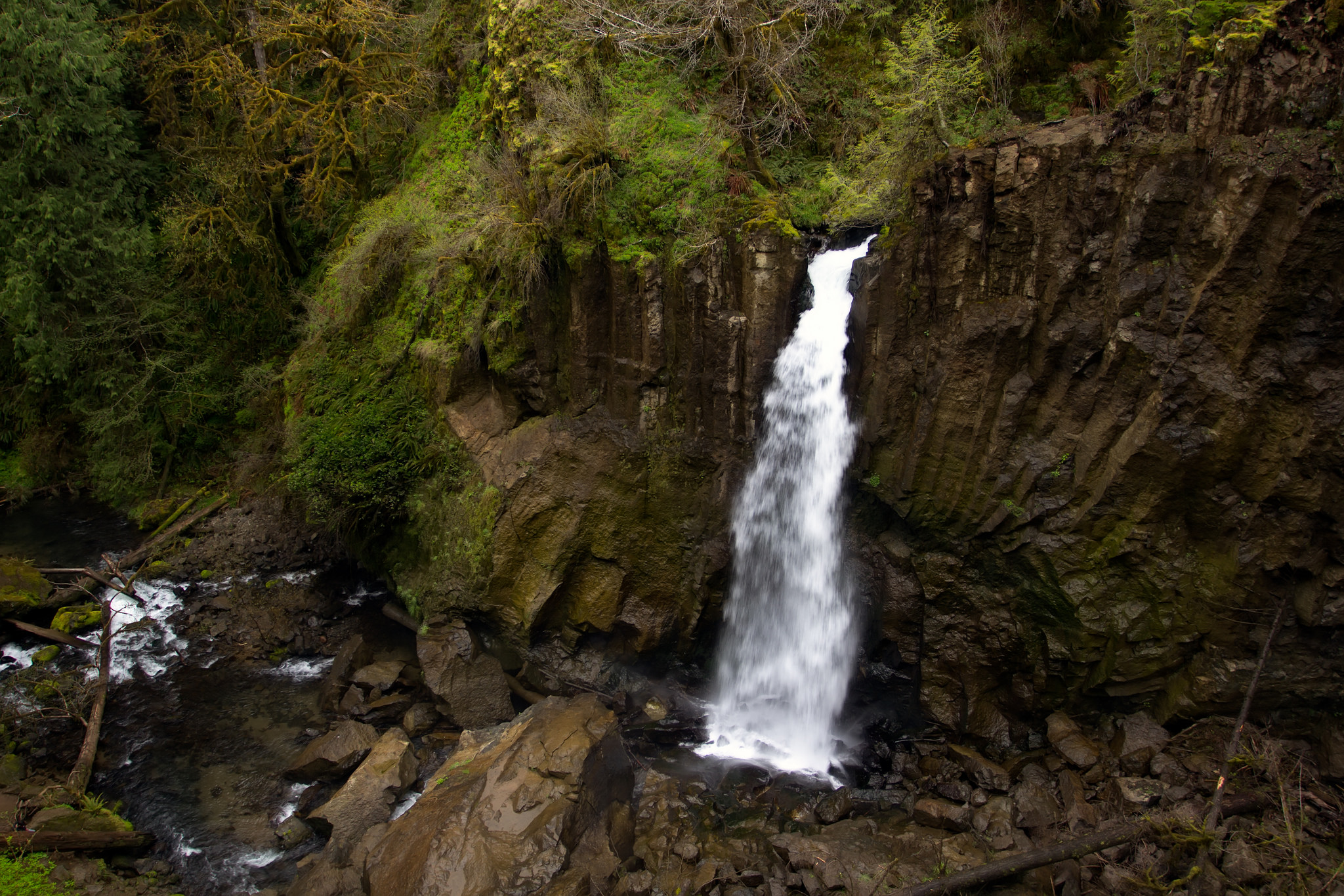 Drift Creek Falls trail