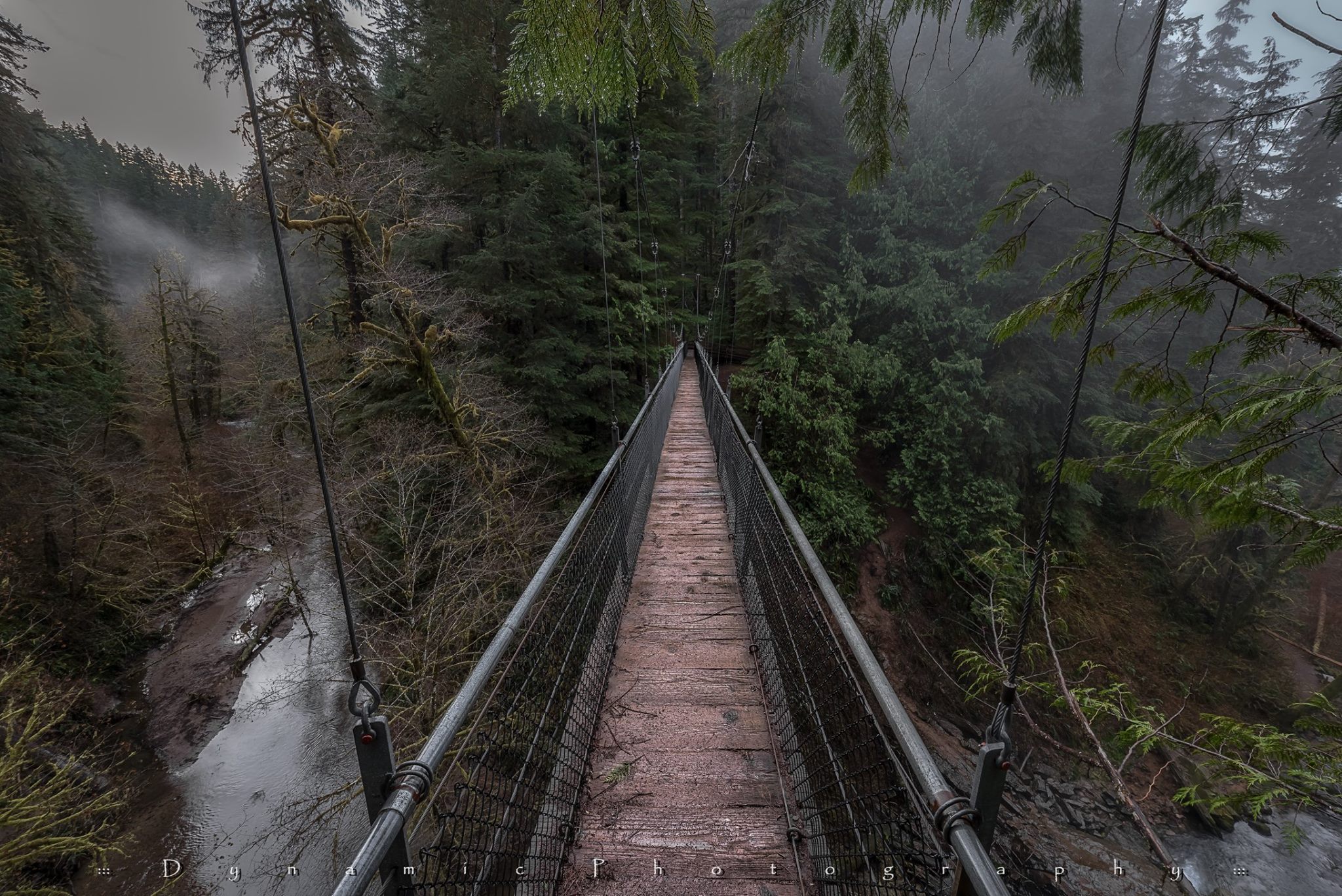 Suspension Bridge Drift Creek Falls