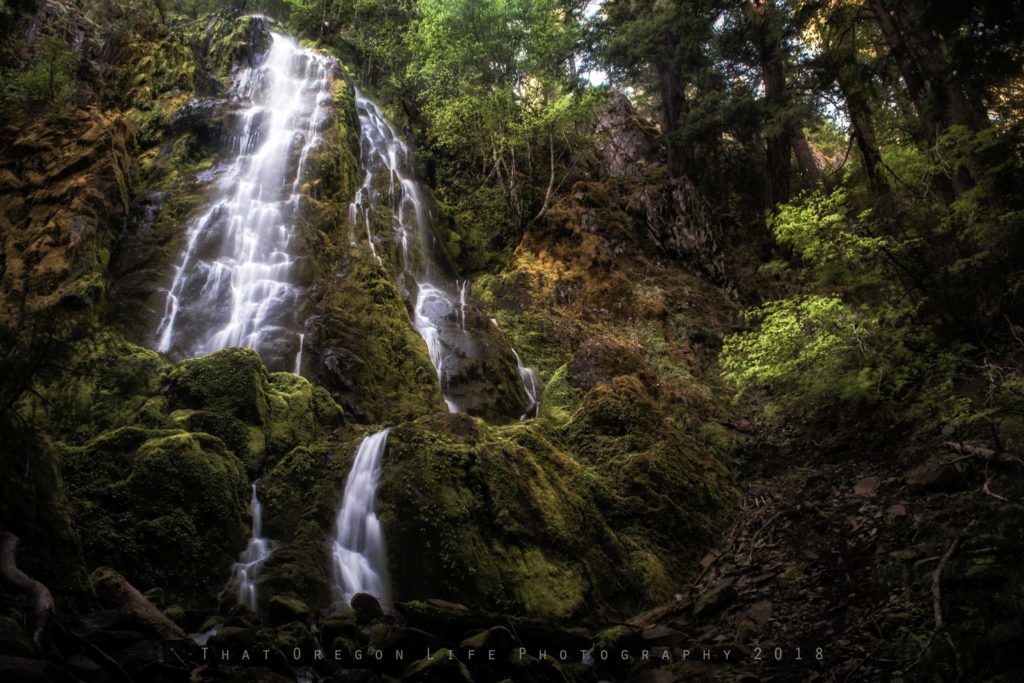 Spirit Falls, Moon Falls, and and Pinard Falls Near Eugene