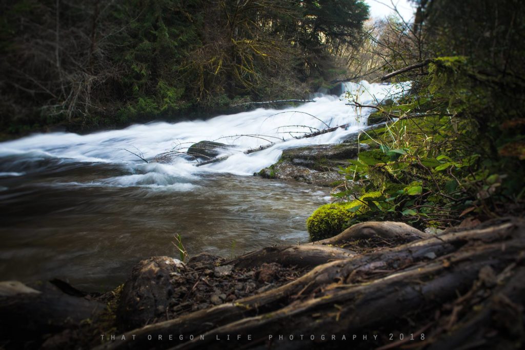 waterfalls near eugene