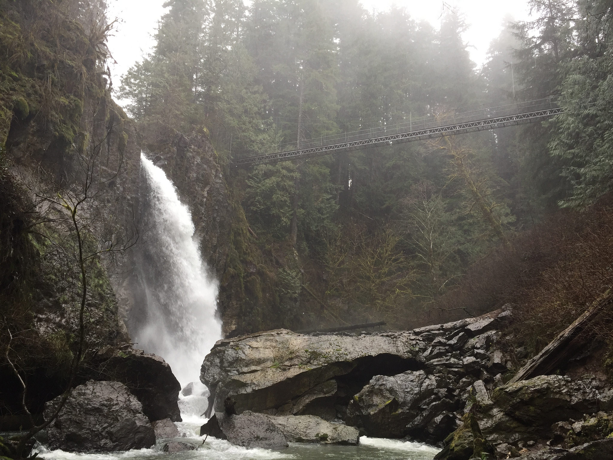 drift creek falls oregon