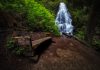 Oregon Trails
