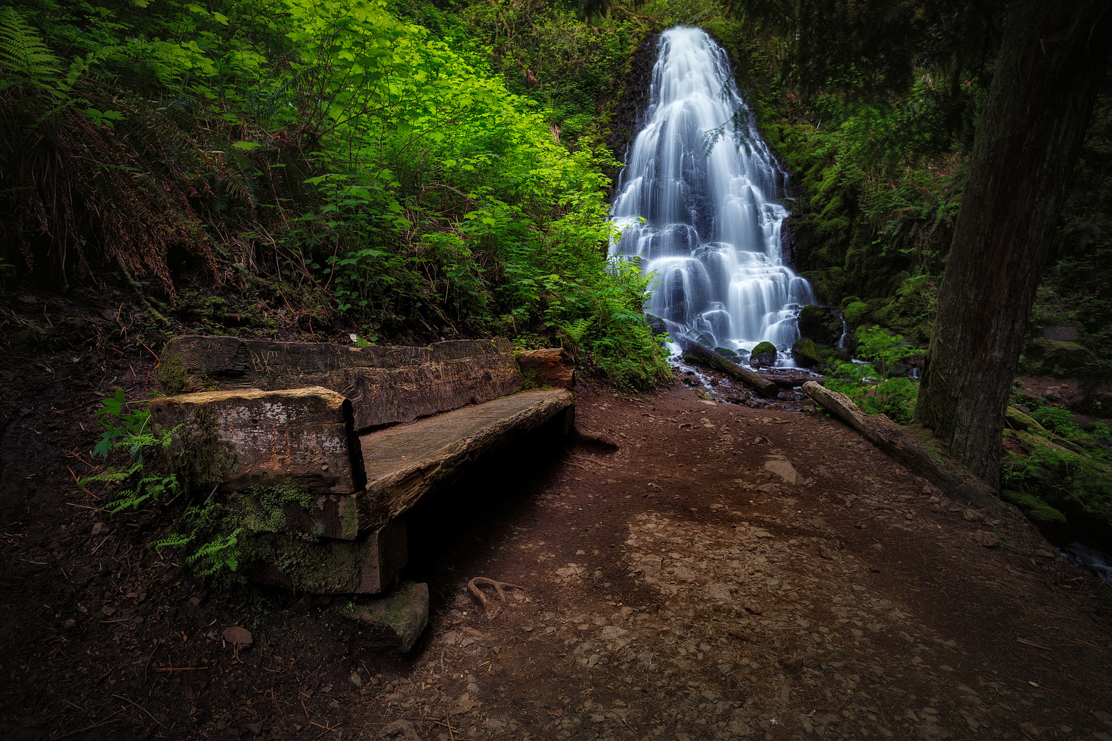 oregon trails