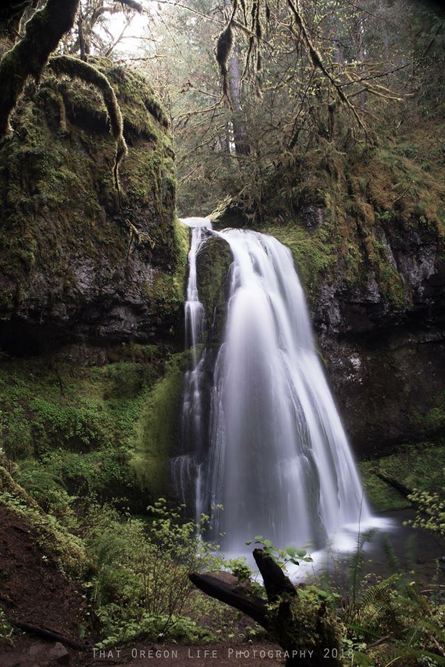 Spirit Falls, Moon Falls, and and Pinard Falls Near Eugene