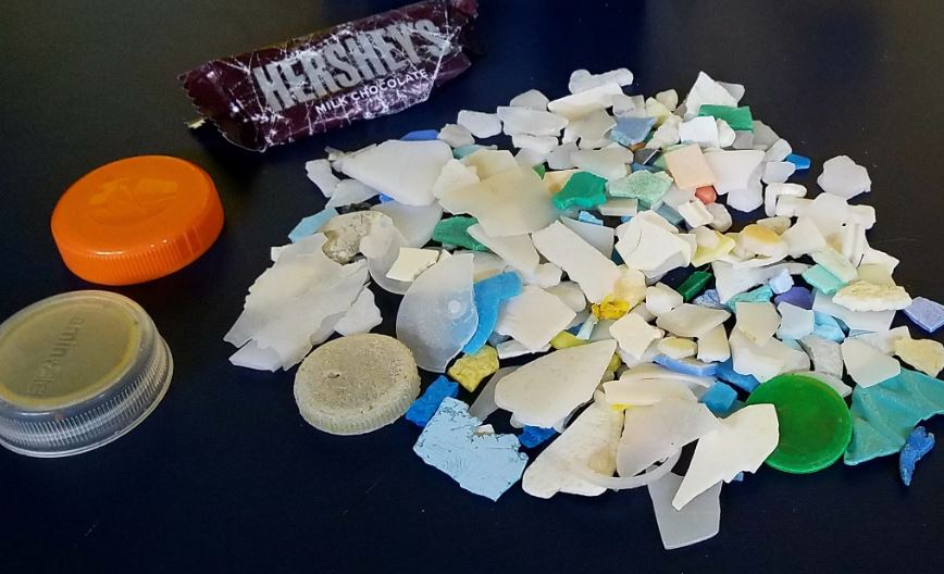 Beach Cleanup Oregon Microplastic Fragments