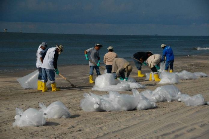 Plastic Beach Clean Up Solve Oregon Plastic Problem