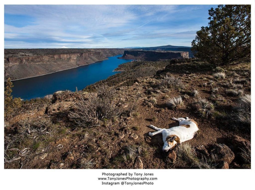 Cove Palisades State Park