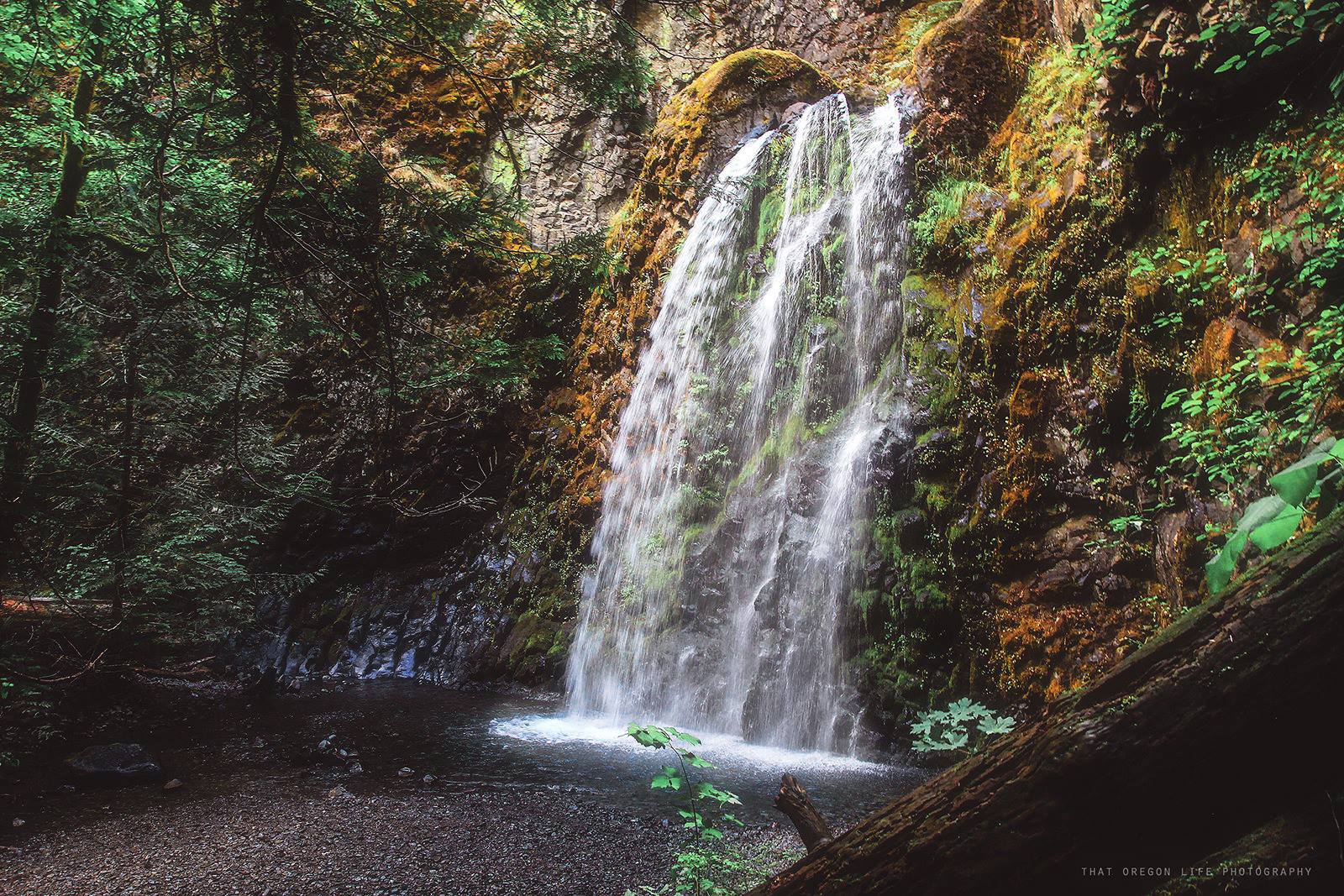 oregon trails