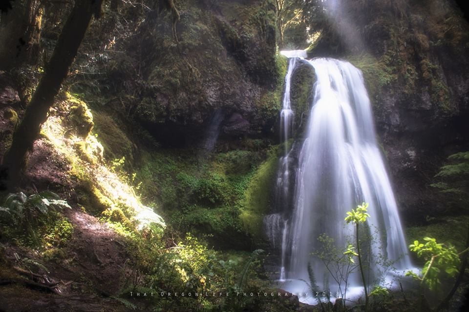 waterfalls near eugene