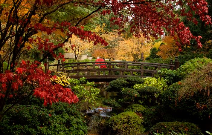 Moving to Portland - Japanese Garden Portland - Places to go