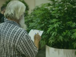 Oregon Cannabis Growers Consumers Fair