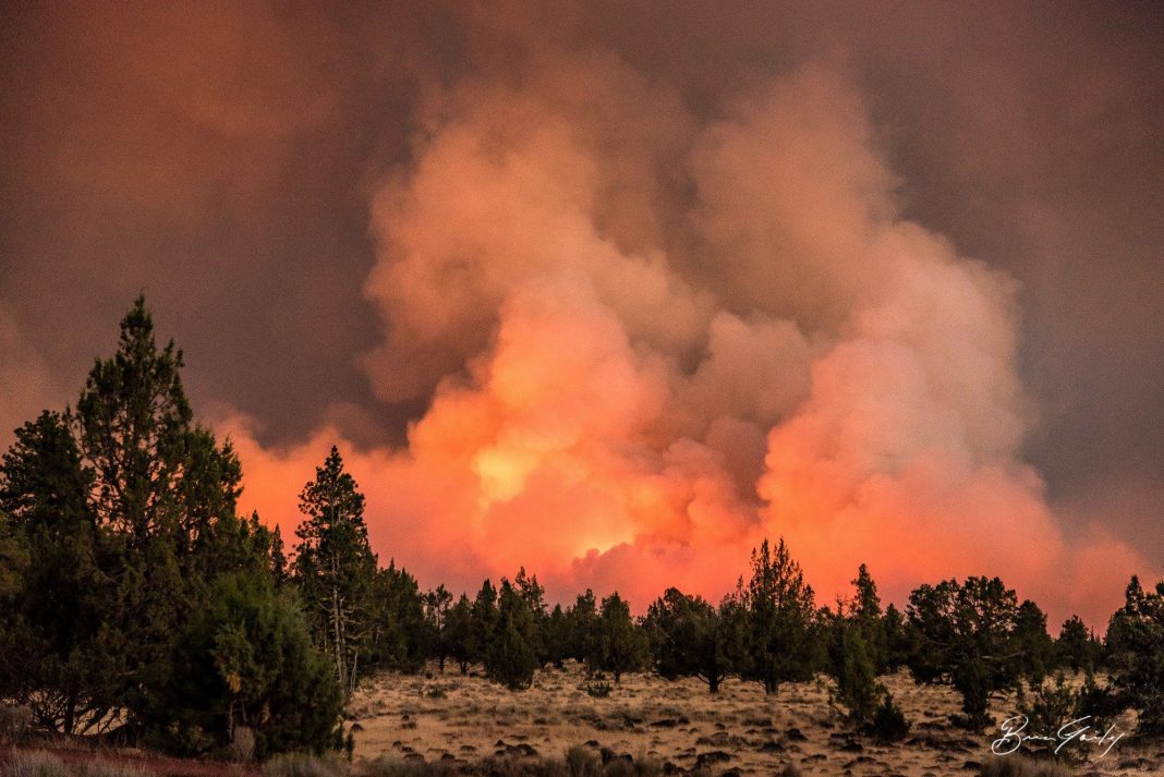 Wildfires In Oregon: Gov. Brown Declares State of Emergency | That ...