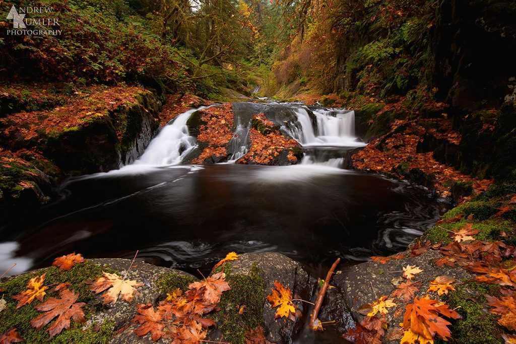 sweet creek falls