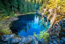 Blue Pool Willamette National Forest Oregon, crooked river