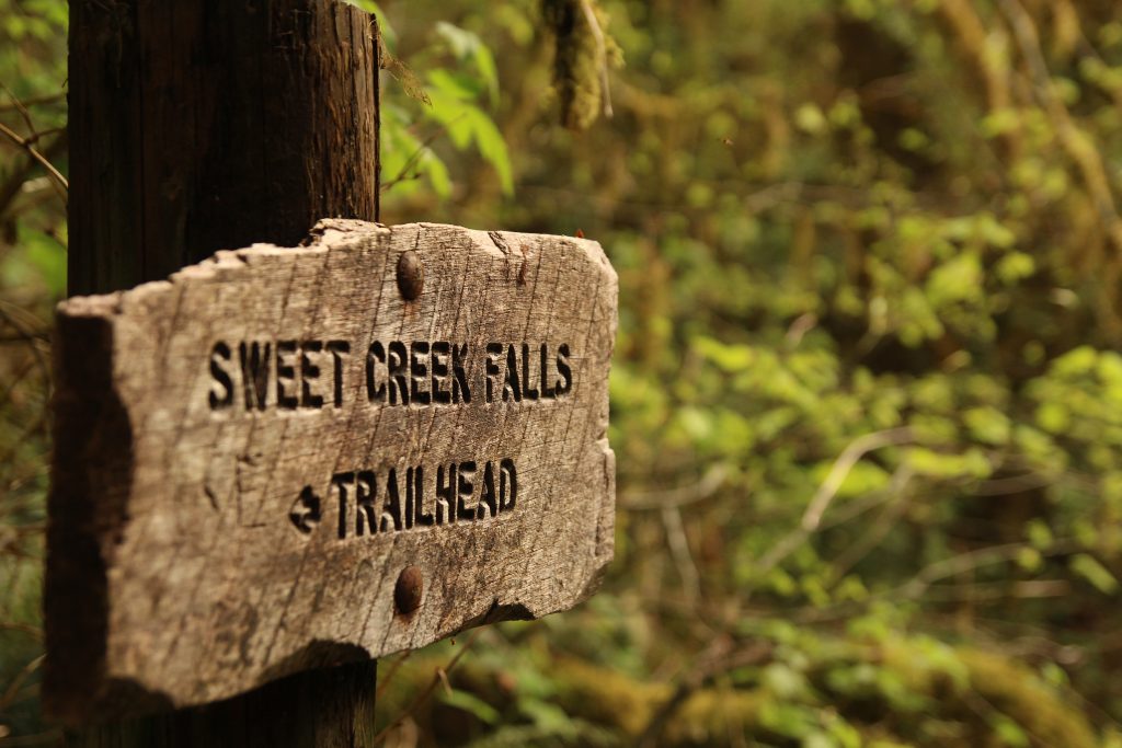 Hiking Trails Oregon