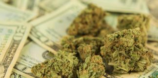 Oregon Cannabis Tax Revenue