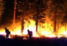 Oregon Wildfires Burn Across State of Oregon