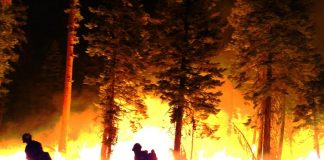 Oregon Wildfires Burn Across State of Oregon