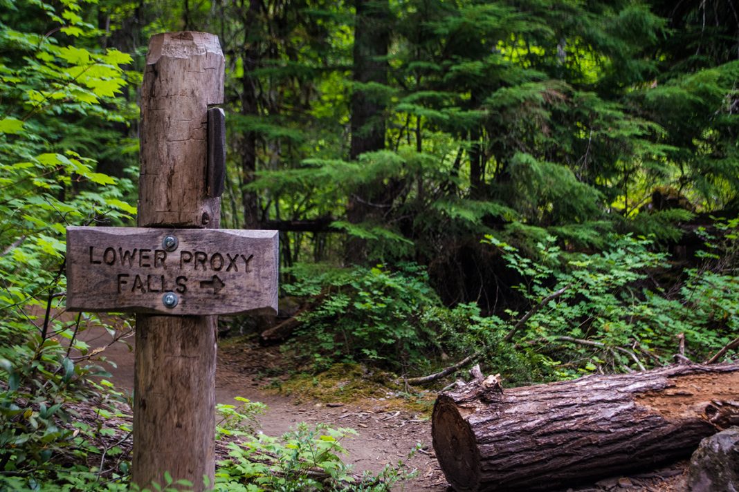 lower proxy falls