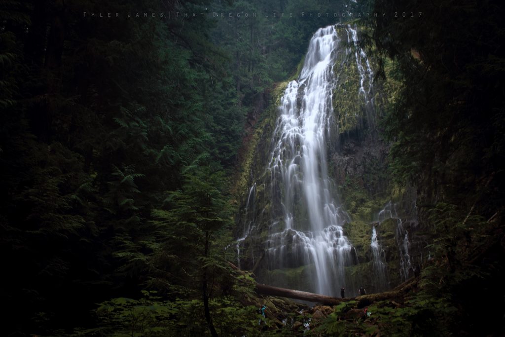 Lower Proxy Falls in Oregon