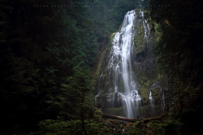 proxy falls trailhead