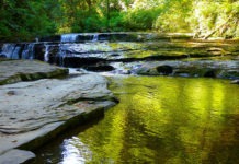 sweet creek falls oregon