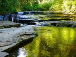 sweet creek falls oregon
