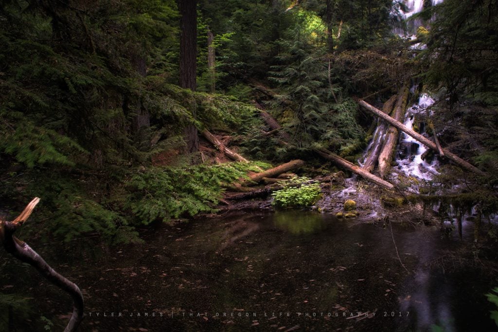 Upper Proxy Falls in Oregon