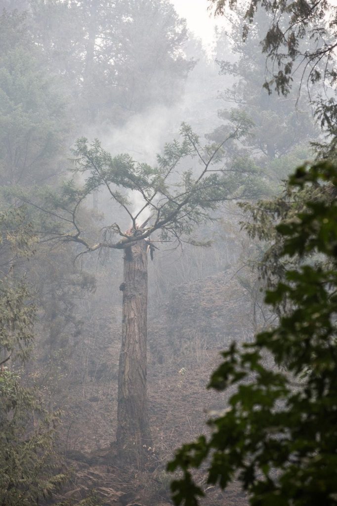 Aftermath Photos Of Multnomah Falls Fire In Columbia River Gorge