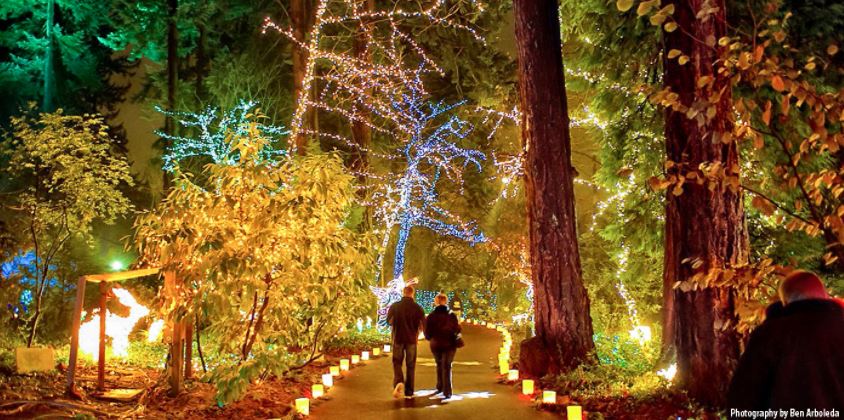 The Grotto Portland Christmas Light Limo Tours