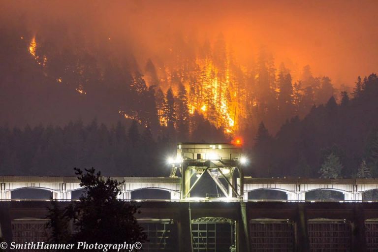 Moron With Fireworks Starts Columbia River Fire