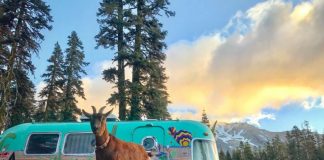 RV Living in Oregon - Northwest Airstream RV Adventures