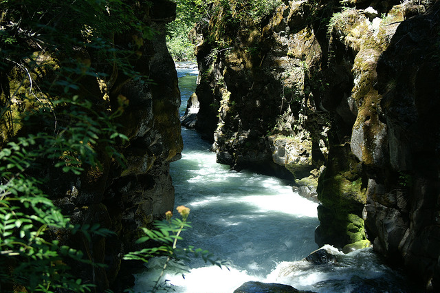 Rogue Gorge Trail