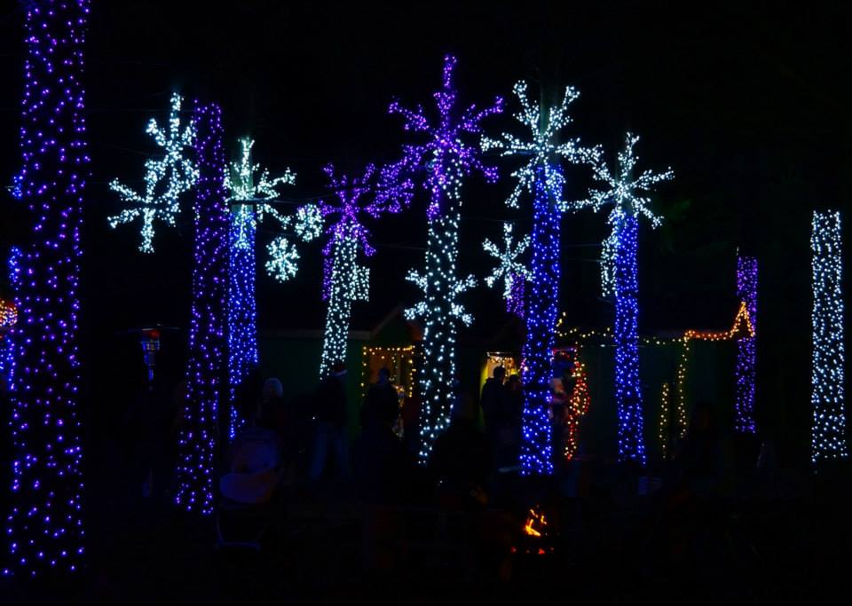 This Winter Walk In Oregon Features Over 600 000 Christmas Lights