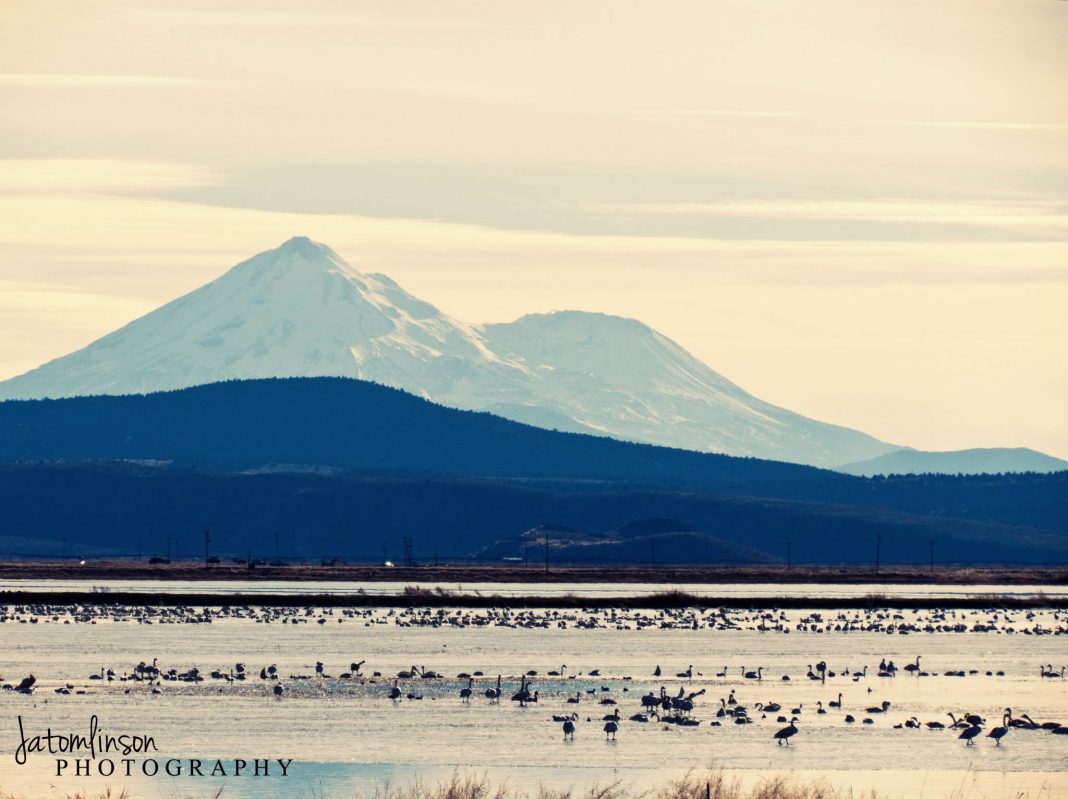 winter hikes in oregon