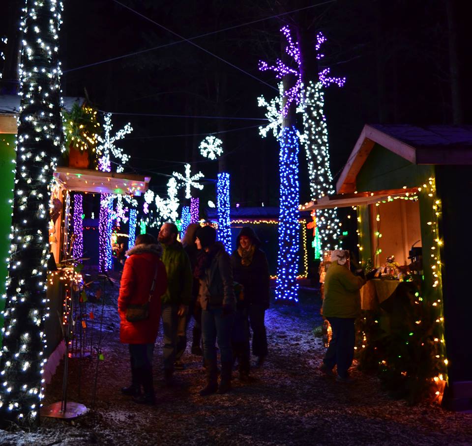 This Winter Walk In Oregon Features Over 600 000 Christmas Lights