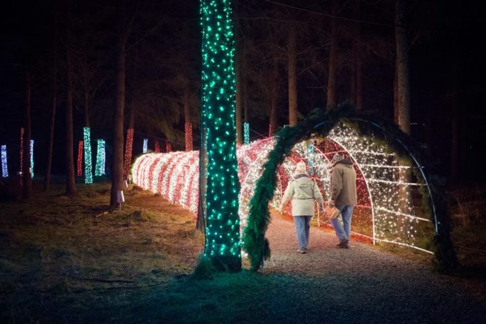 Christmas In The Garden In Oregon Features One Million Christmas