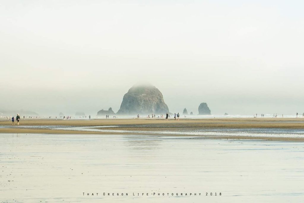 Cannon Beach