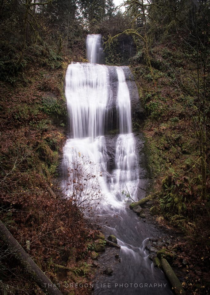 mcdowell creek falls loop