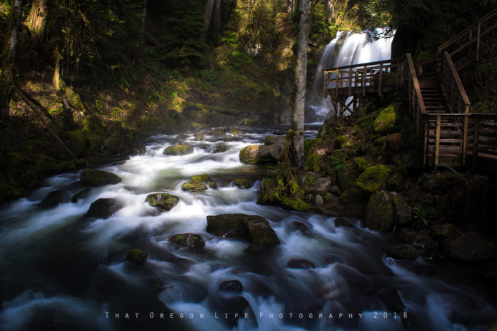 mcdowell creek falls trail