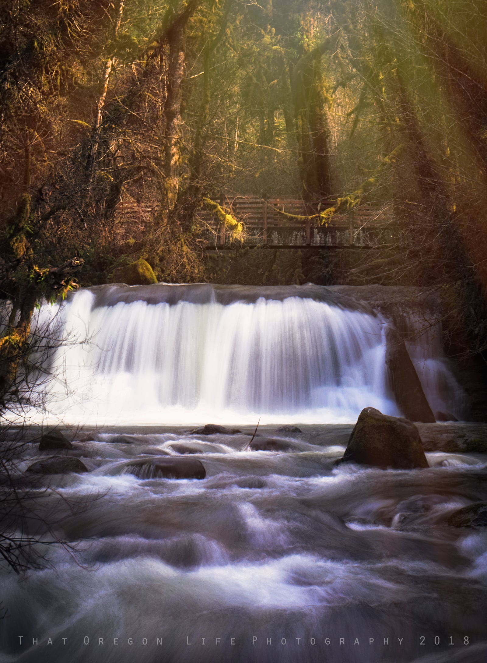 Lower McDowell Falls framed by forest near Lebanon, Oregon