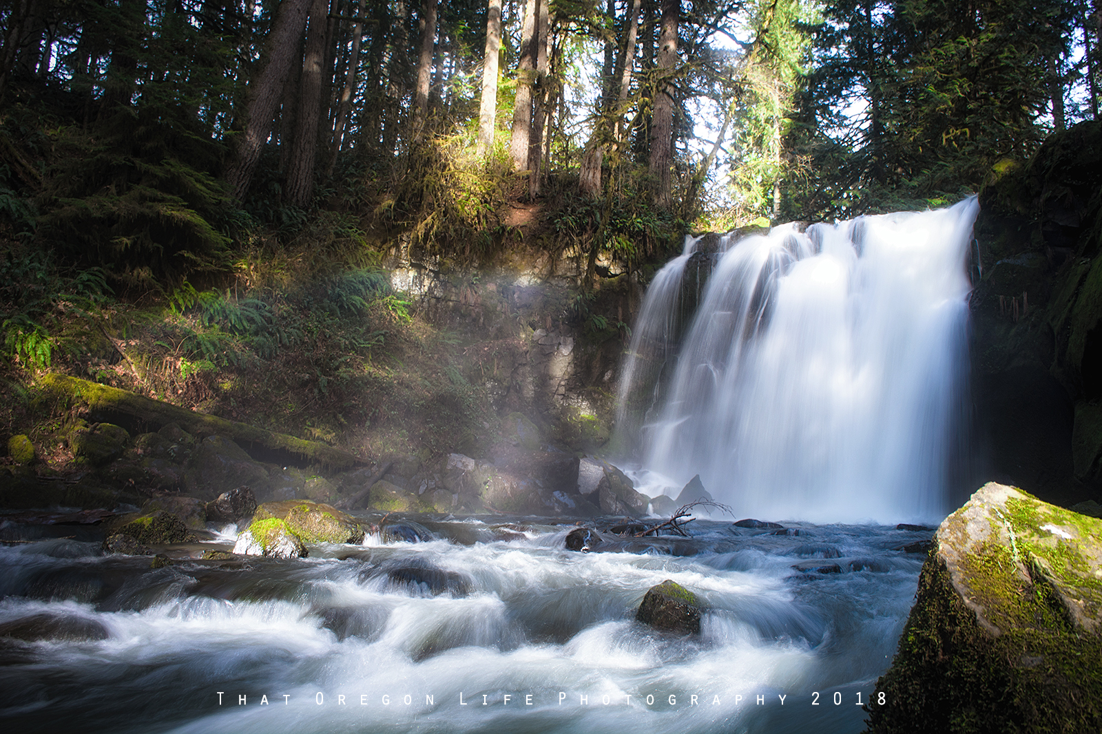 Majestic Falls in McDowell Creek Falls County Park