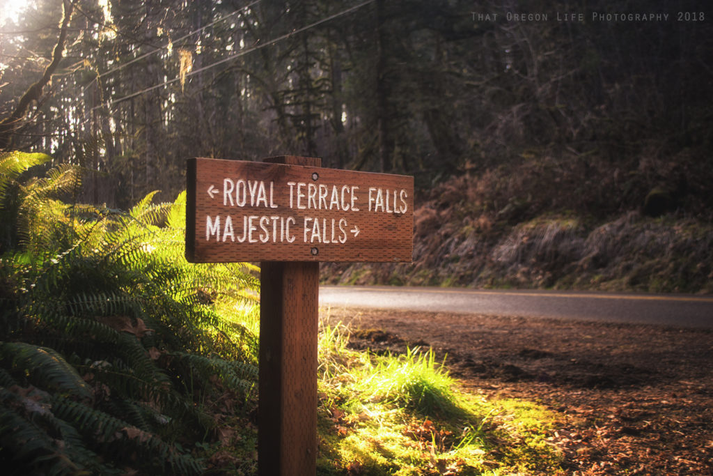 mcdowell creek falls loop