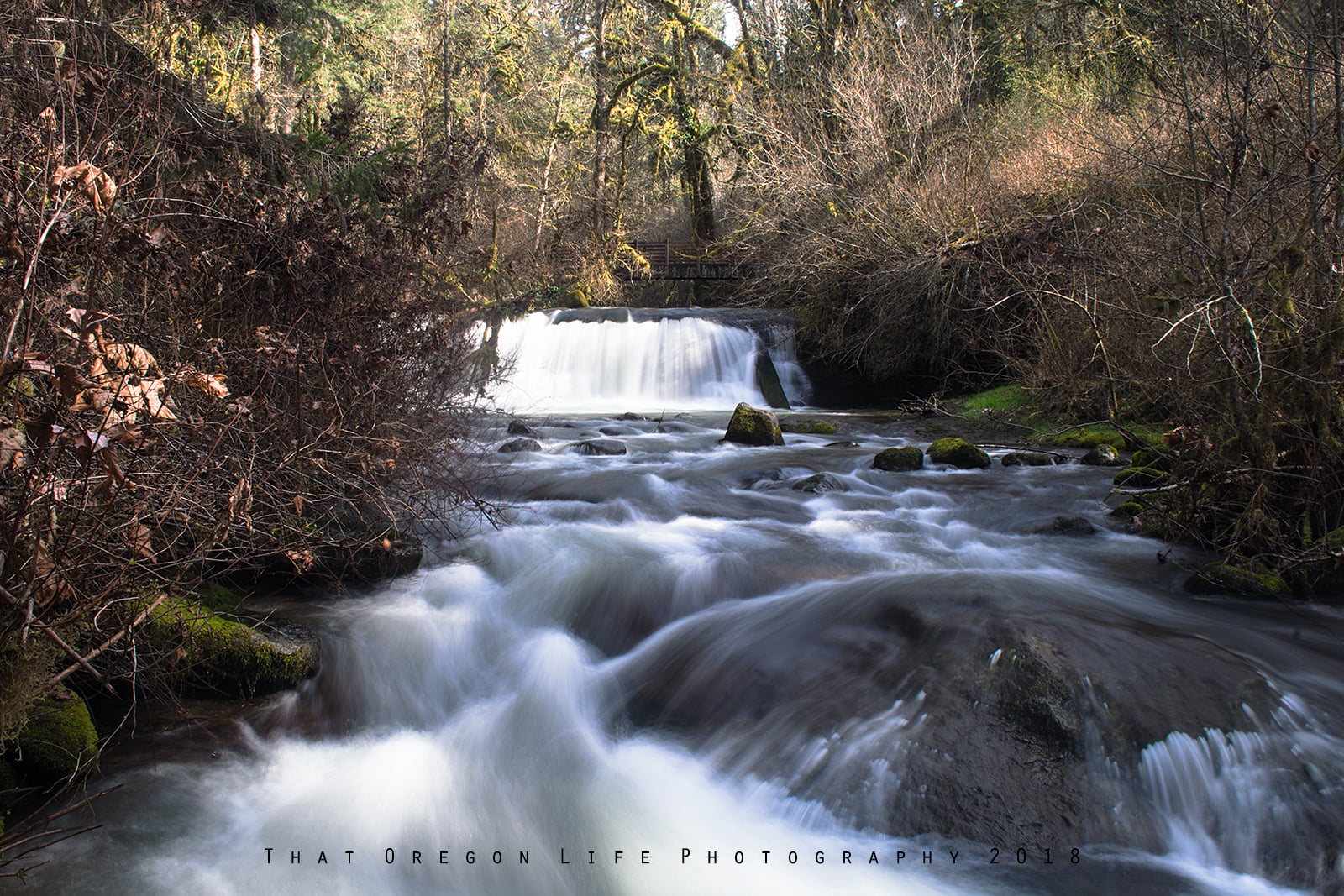 Lower McDowell Falls in McDowell Creek Falls County Park