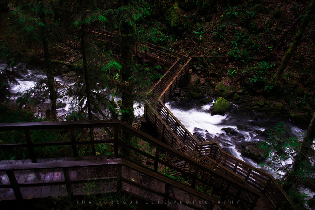 mcdowell creek falls loop