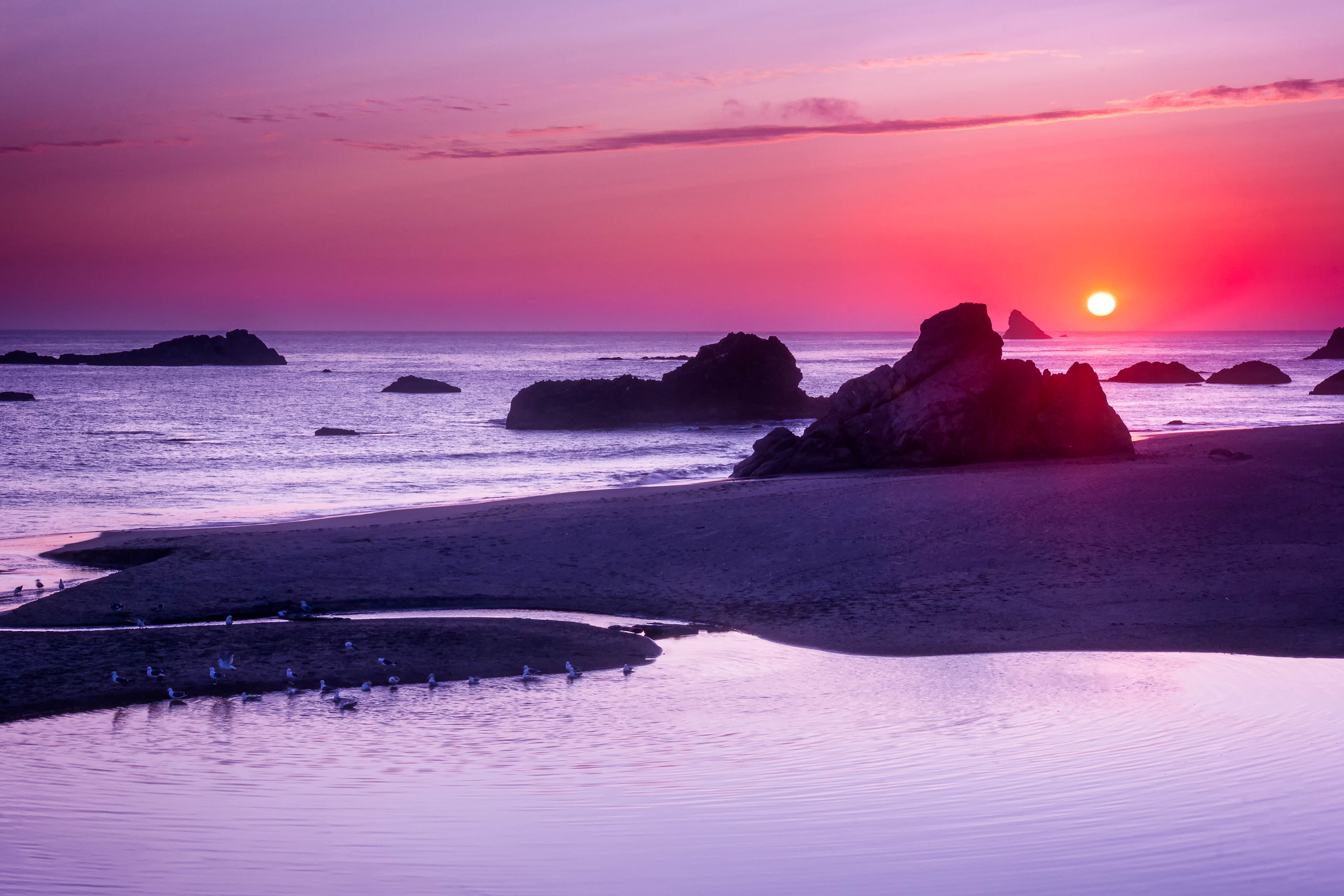 best Oregon beaches harris beach brookings