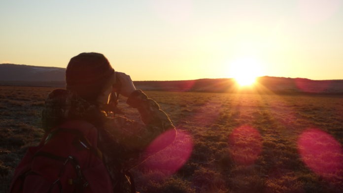 oregon desert trail